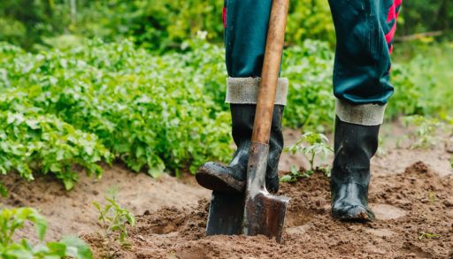 man-digging-a-hole-in-his-garden-with-a-spade