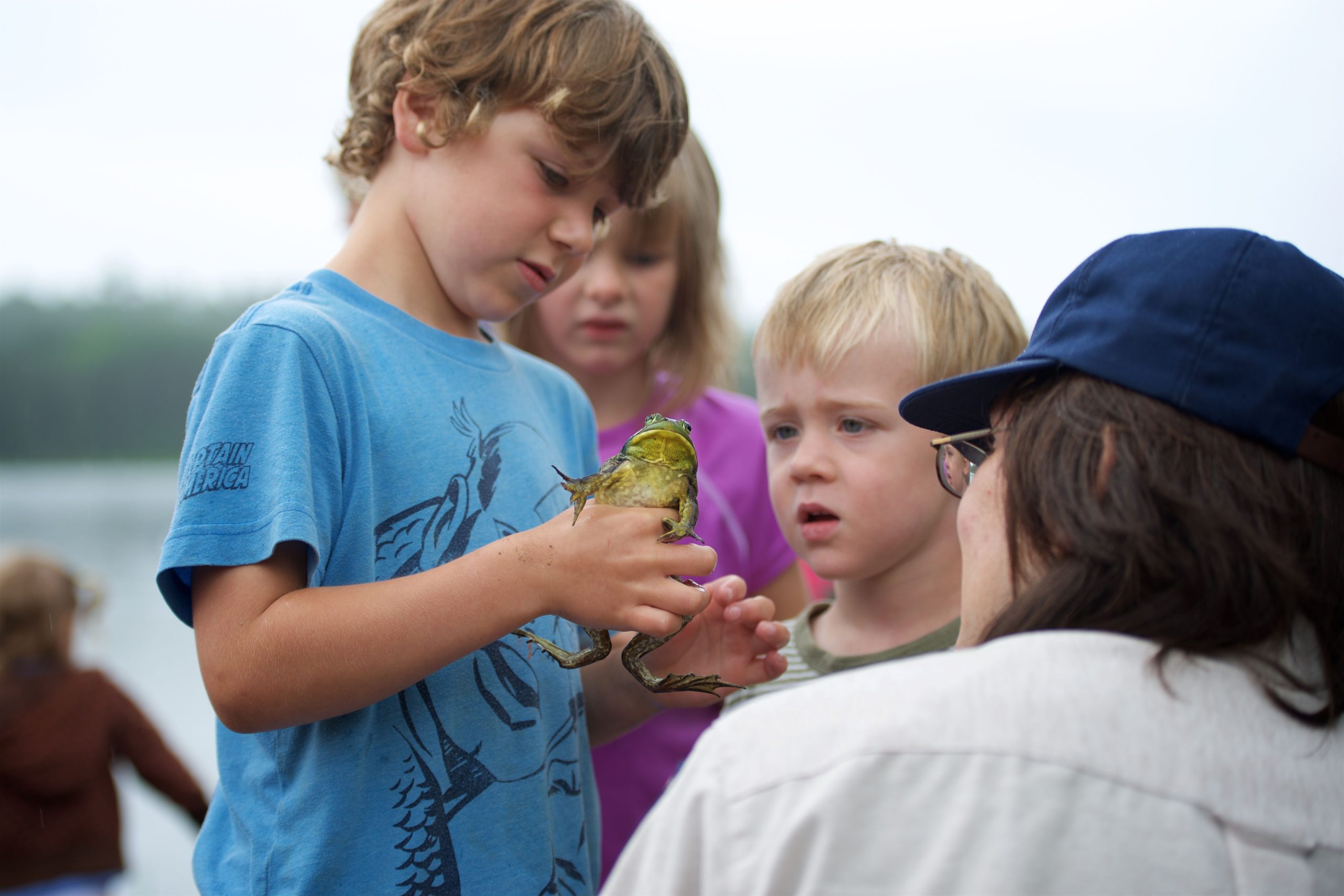 Child holding frog at Samuel de Champlain Provincial Park