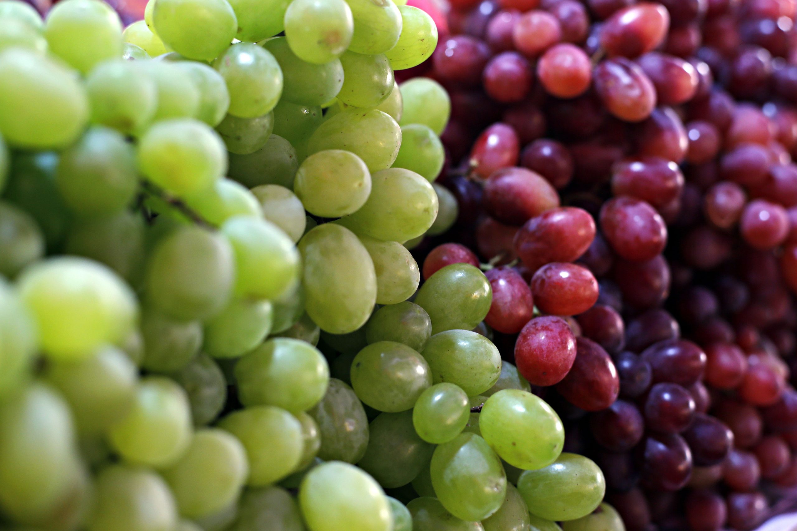 Grapes