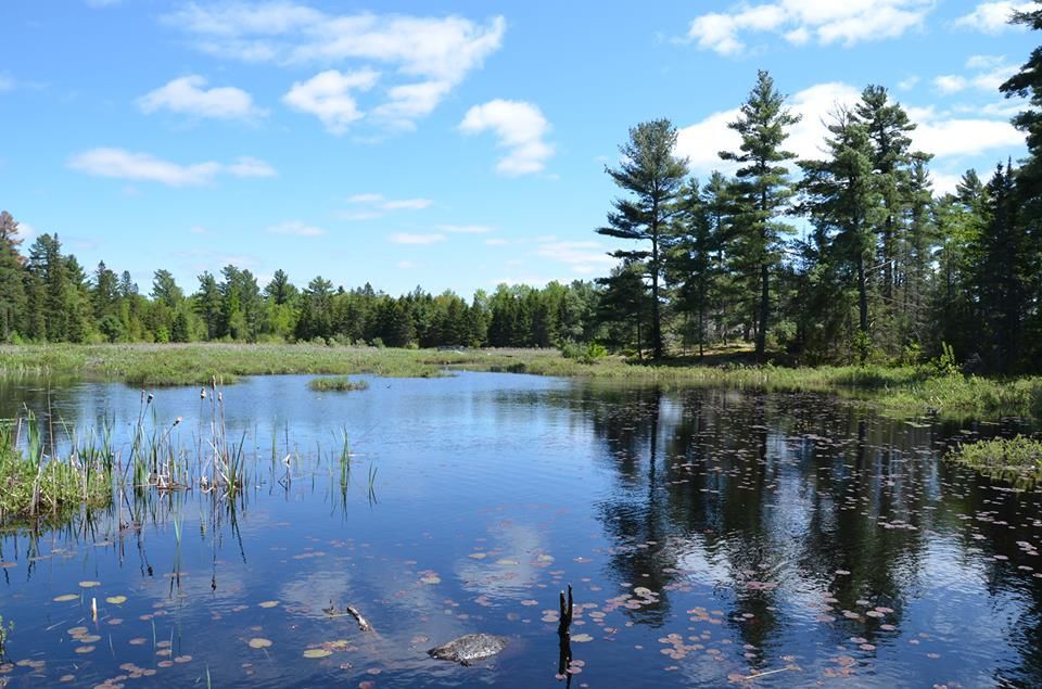 Grundy Lake at Grundy Lake Provincial Park