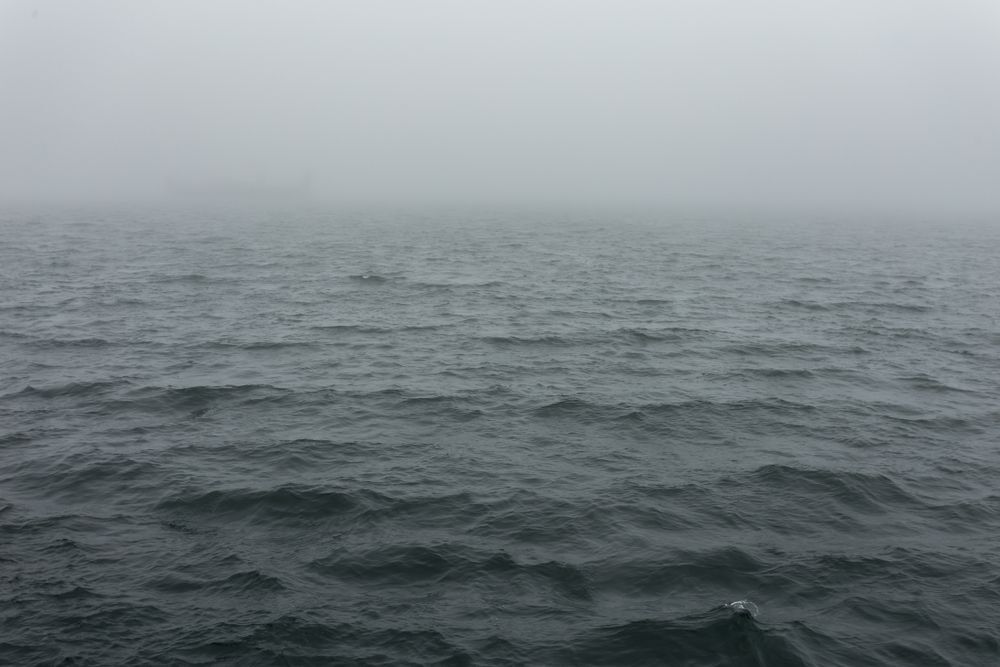 fog-on-the-lake