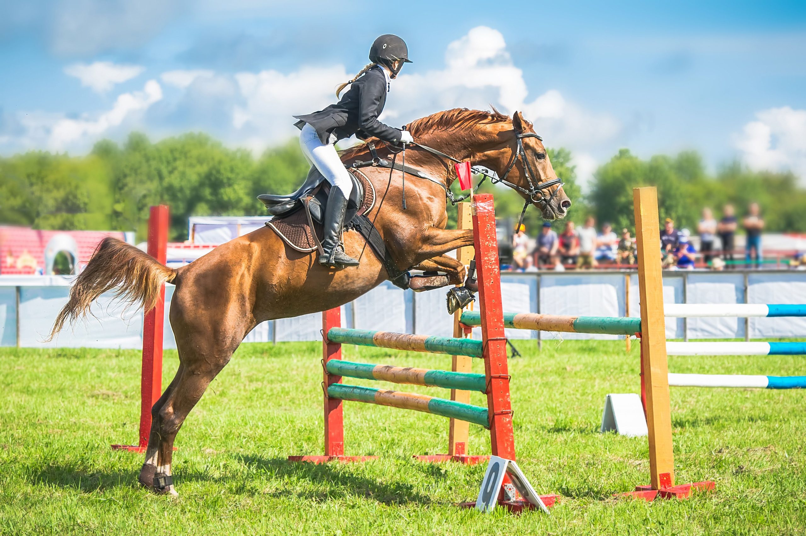 Young female jockey with horse jumping over hurdle