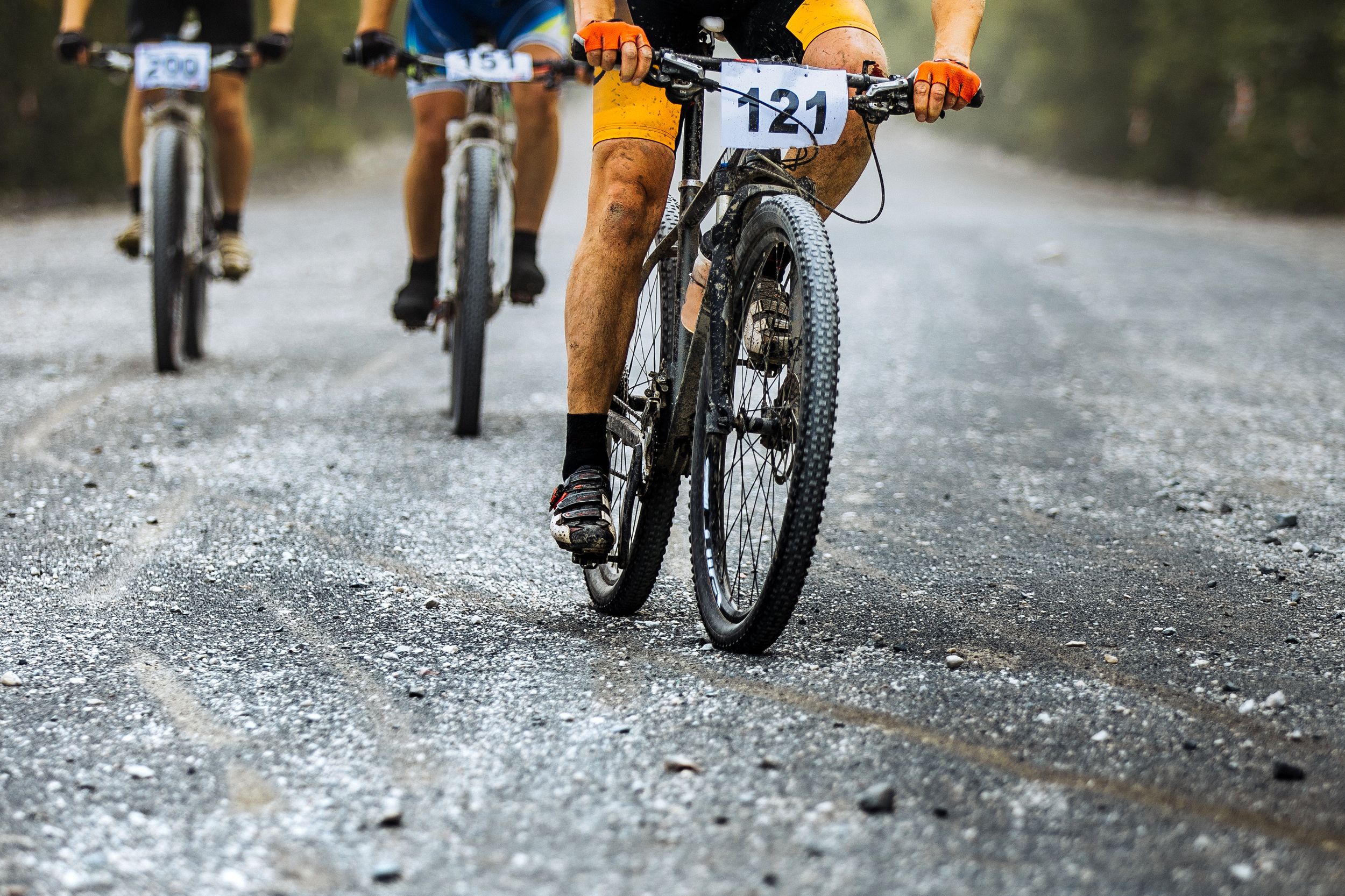 Person riding bike with racer number on handlebars of bike