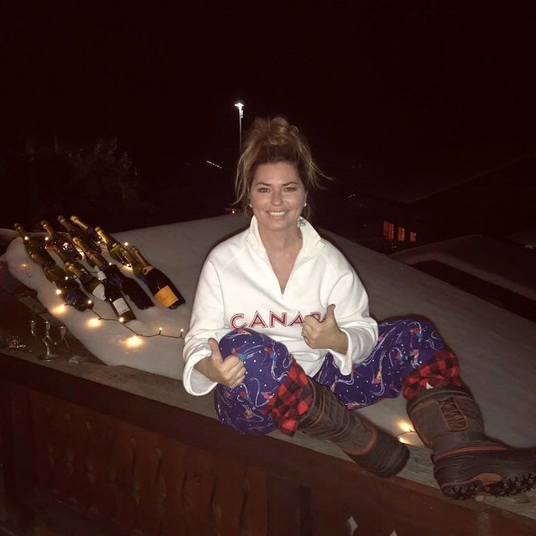 Shania Twain stilling in snow with bottles behind her.