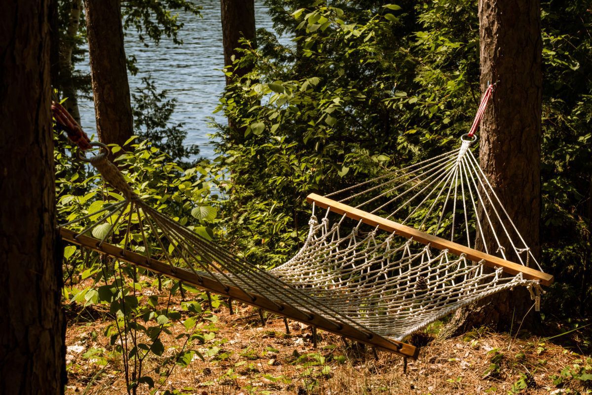 Hammock hanging between two trees with the lake in the background