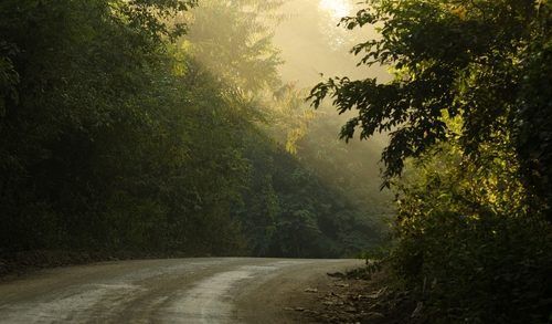 beautiful green country road