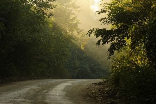 beautiful green country road