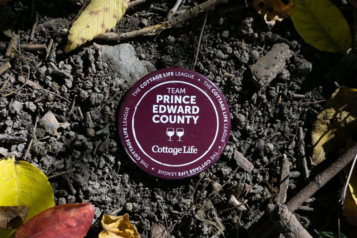 Prince Edward County on a button