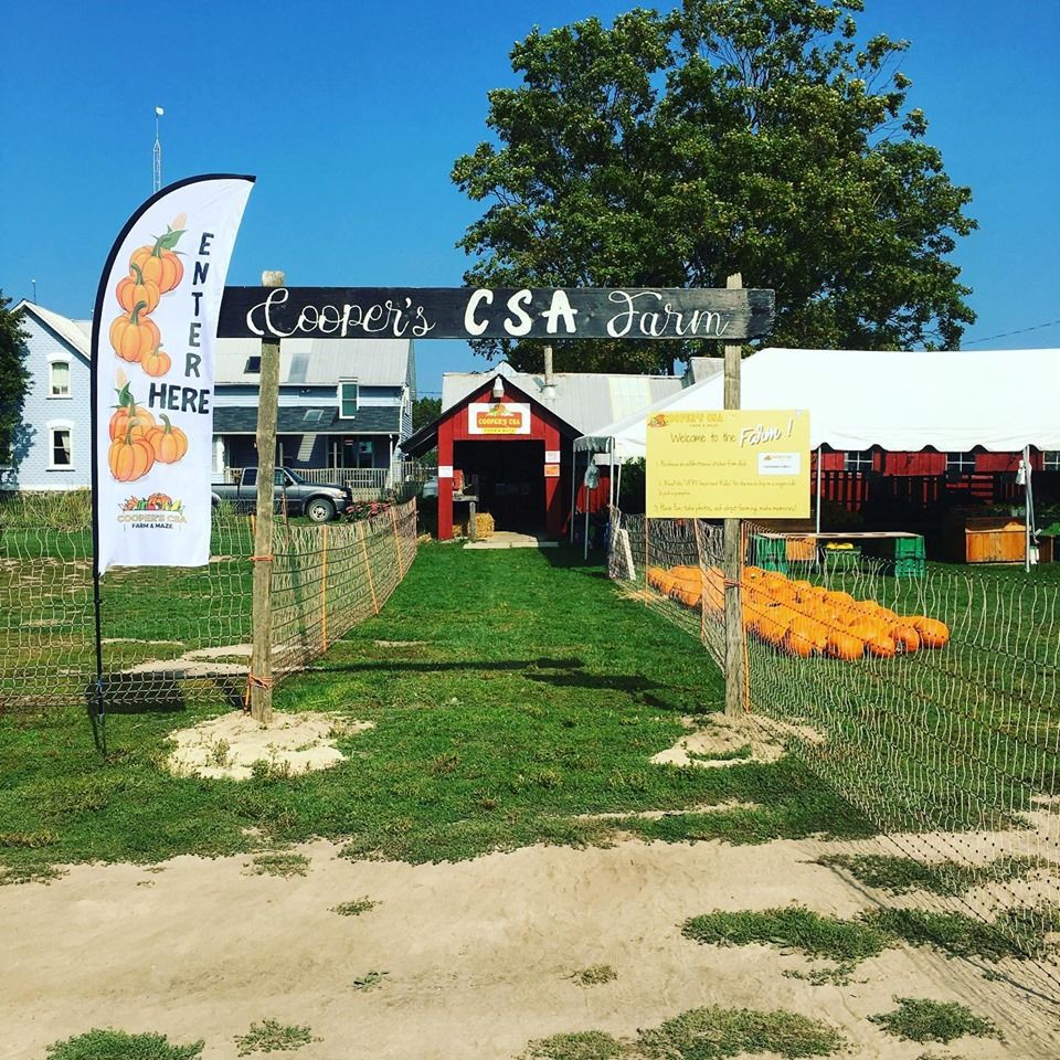 Cooper's Farm entrance with pumpkins