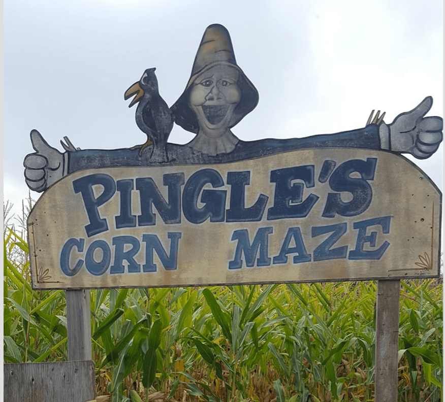 Pingle's Farm corn maze