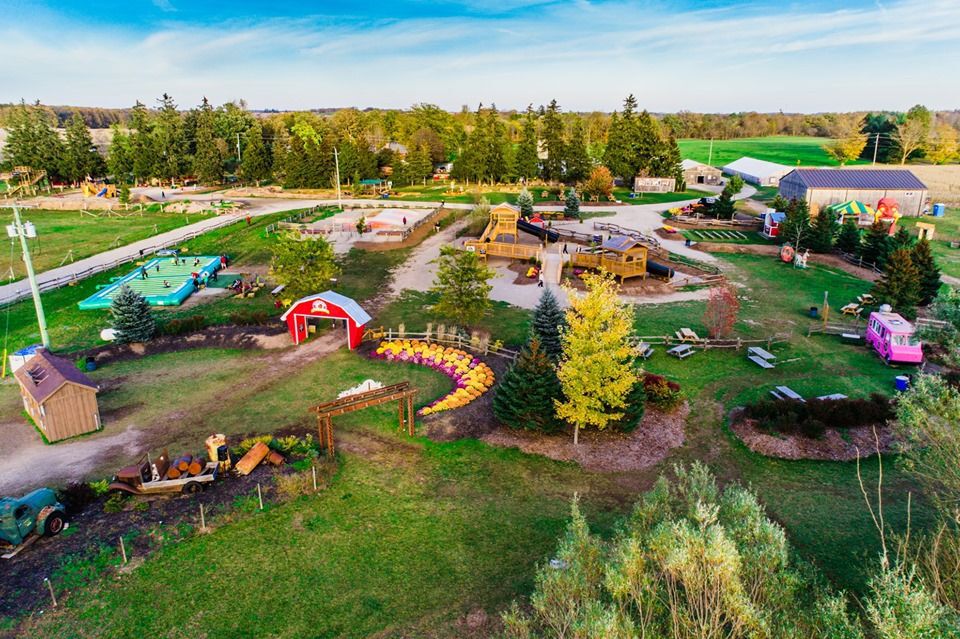 Snyder's Farm fall harvest festival