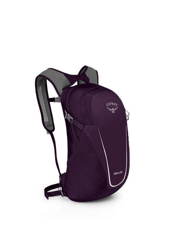 Small purple backpack used for hiking