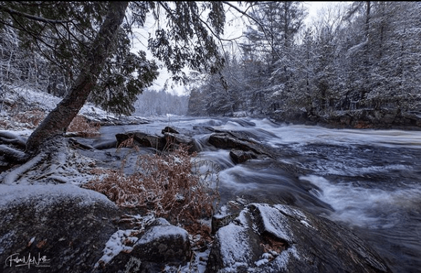 frozen river with trees around it