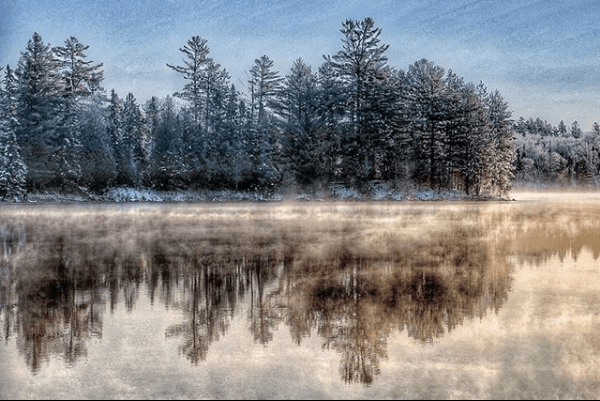 frosty trees reflected on a lake