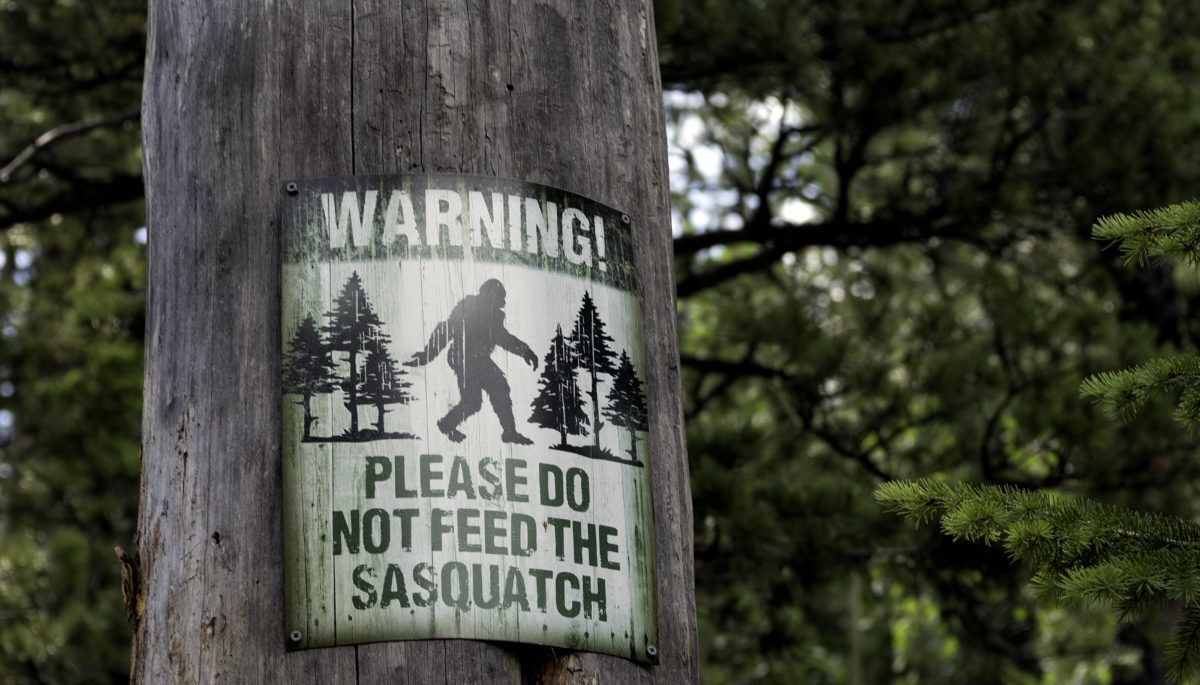 Do not feet the sasquatch sign posted on tree