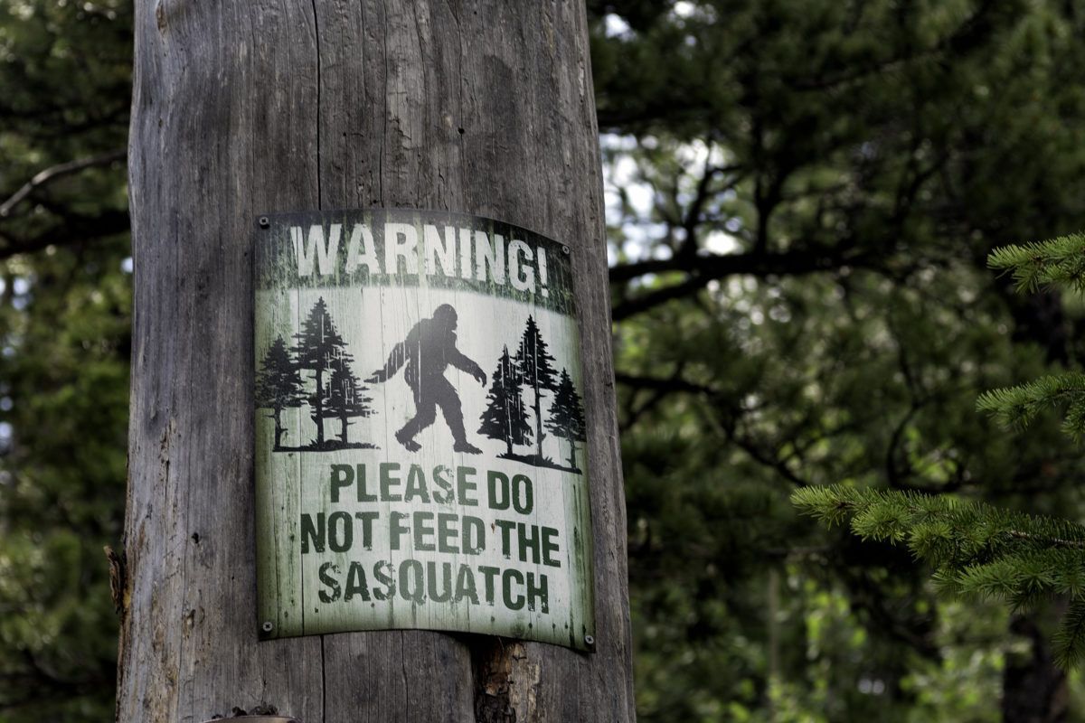 Do not feet the sasquatch sign posted on tree