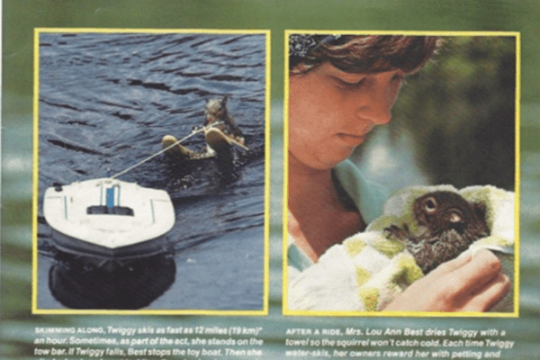Twiggy in her boat, being dried off by woman