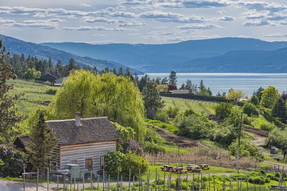 Kelowna, B.C., cabin subject to speculation tax