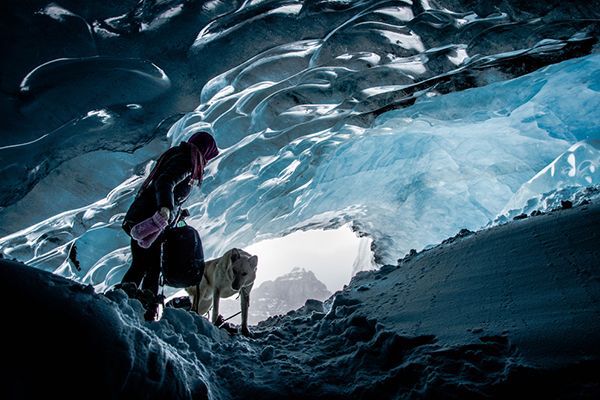 Athabasca glacier, Jasper National Park