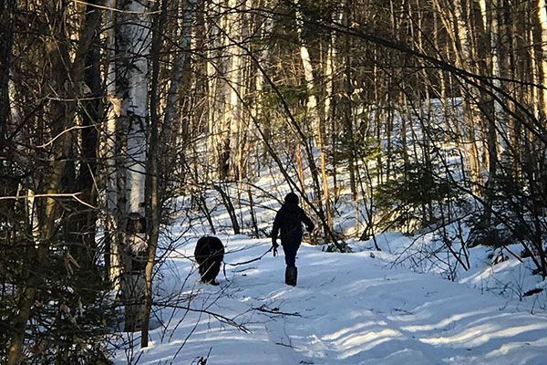 woman walking dog alone in the woods, self isolation
