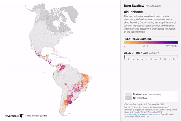 animated maps bird migrations