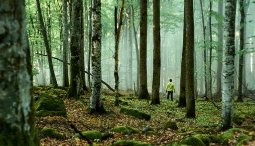 Man lost in the woods