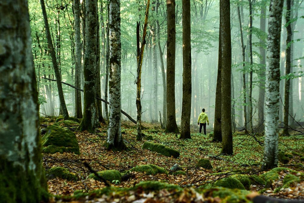 Man lost in the woods