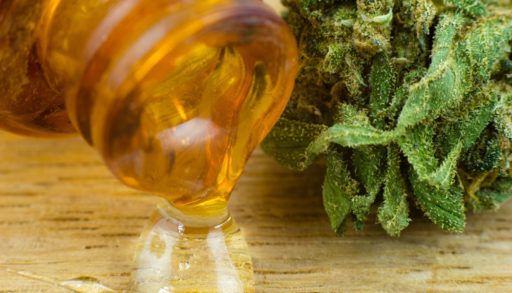 Oil Cannabis - Medical marijuana and resin oil in apothecary