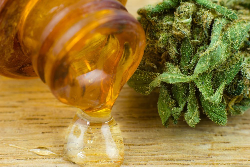 Oil Cannabis - Medical marijuana and resin oil in apothecary