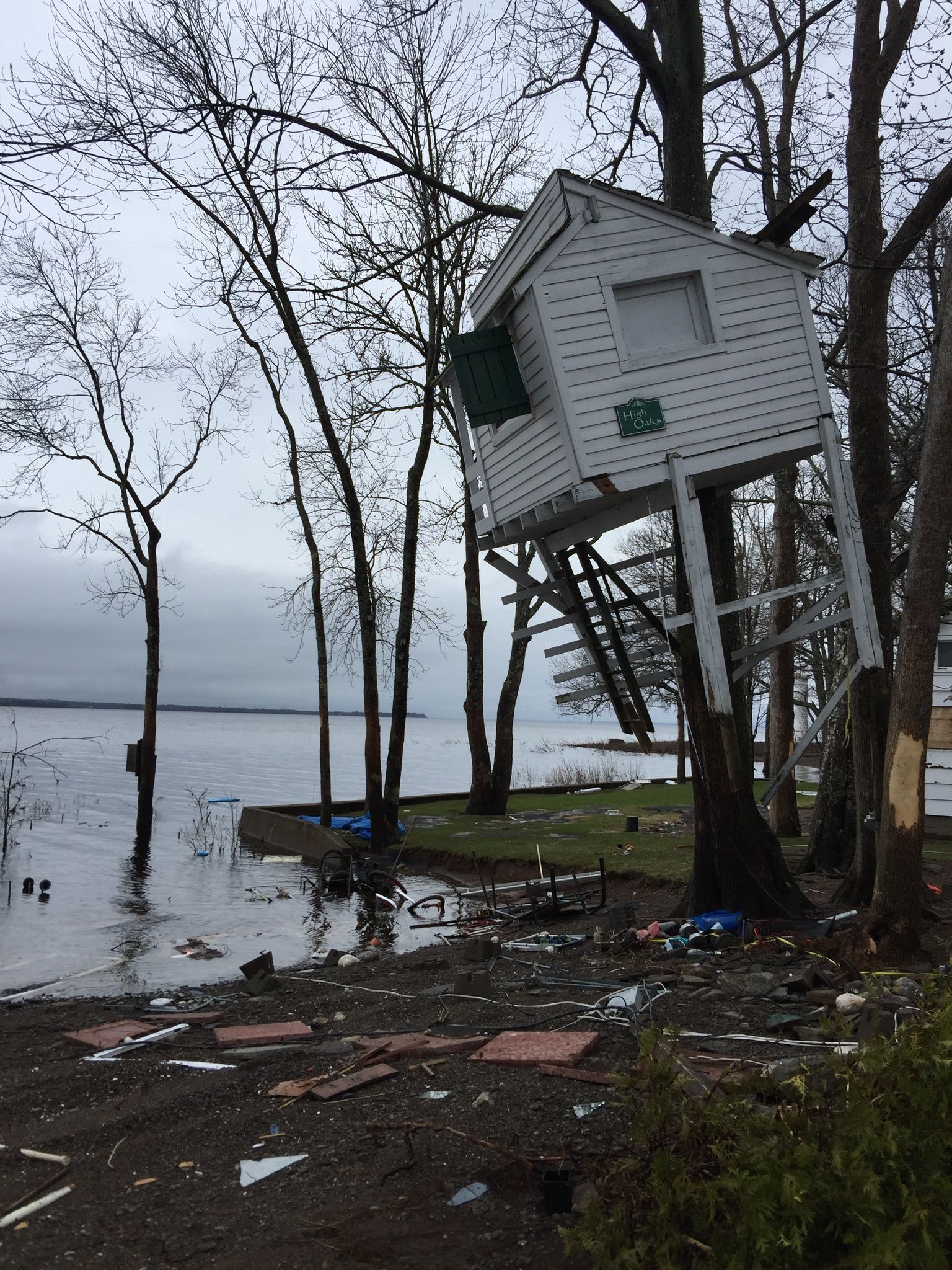 cottage suspended in tree after flood
