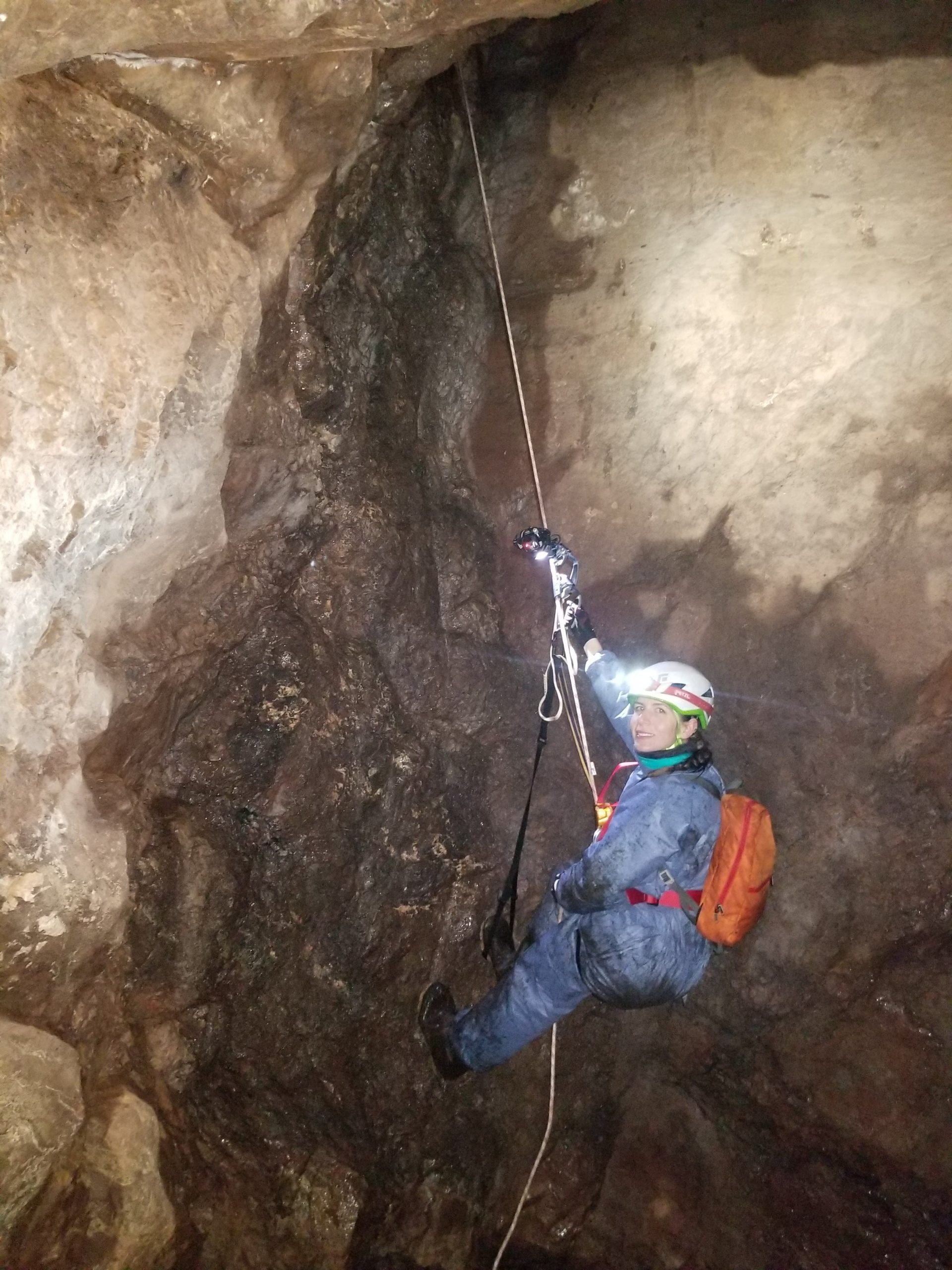 Researcher descends into a cave to study hibernating bats