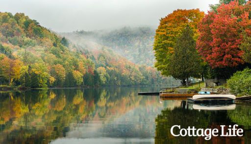 fall colours on the lake