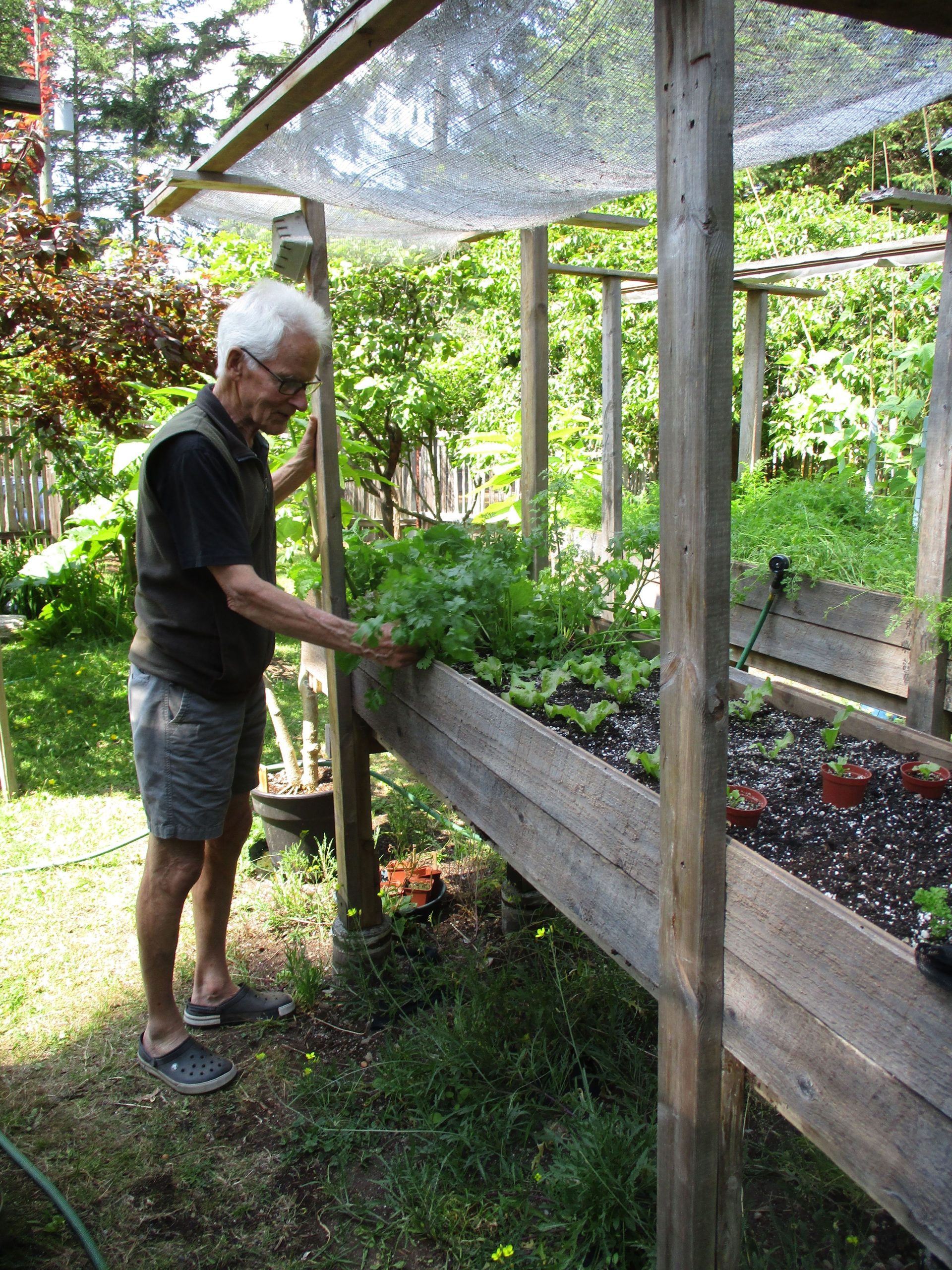 Man stands by the raised gardens he built