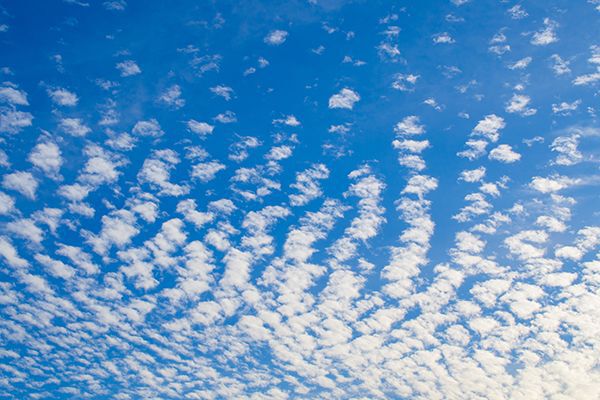Altocumulus clouds