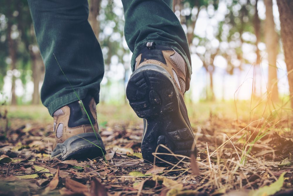 Close up of feet in hiking shoes on a forest trail
