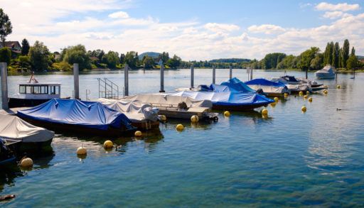 boats docked at a marina