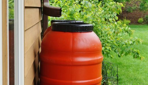 Rain barrels collecting water in the garden