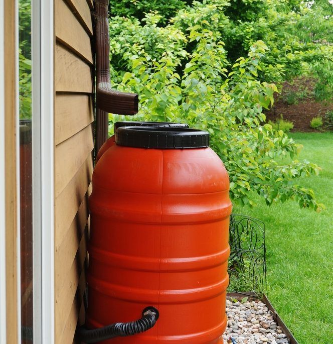 Rain barrels collecting water in the garden