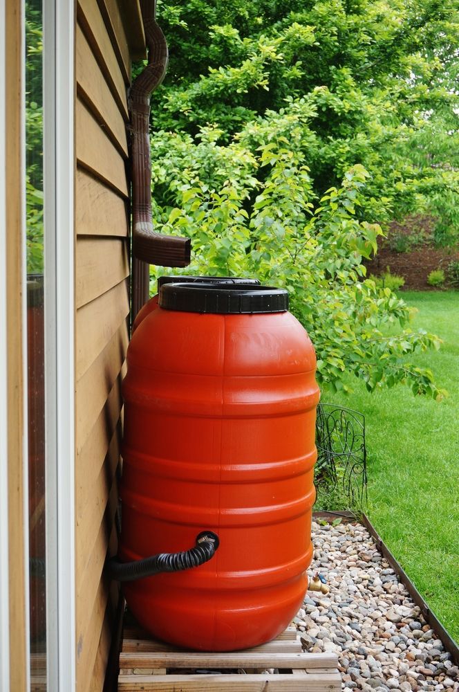 Rain barrels collecting water in the garden