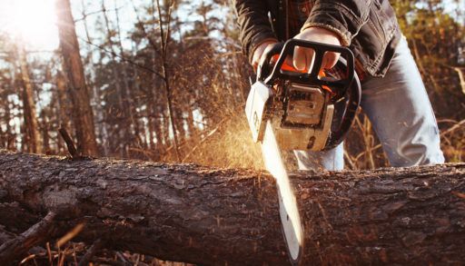 close up of someone using a chainsaw