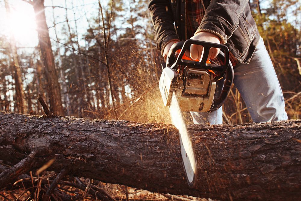 close up of someone using a chainsaw
