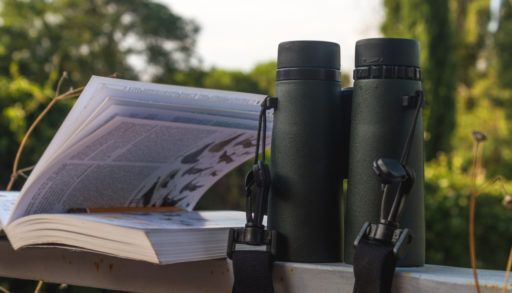 binoculars and bird guide