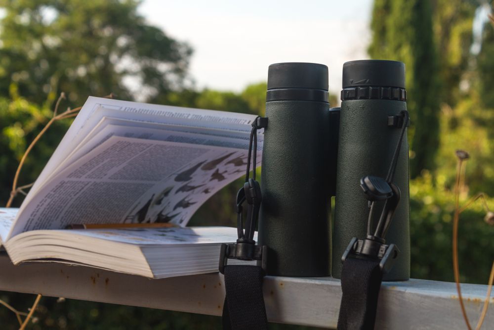 binoculars and bird guide