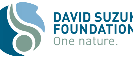 David Suzuki Logo