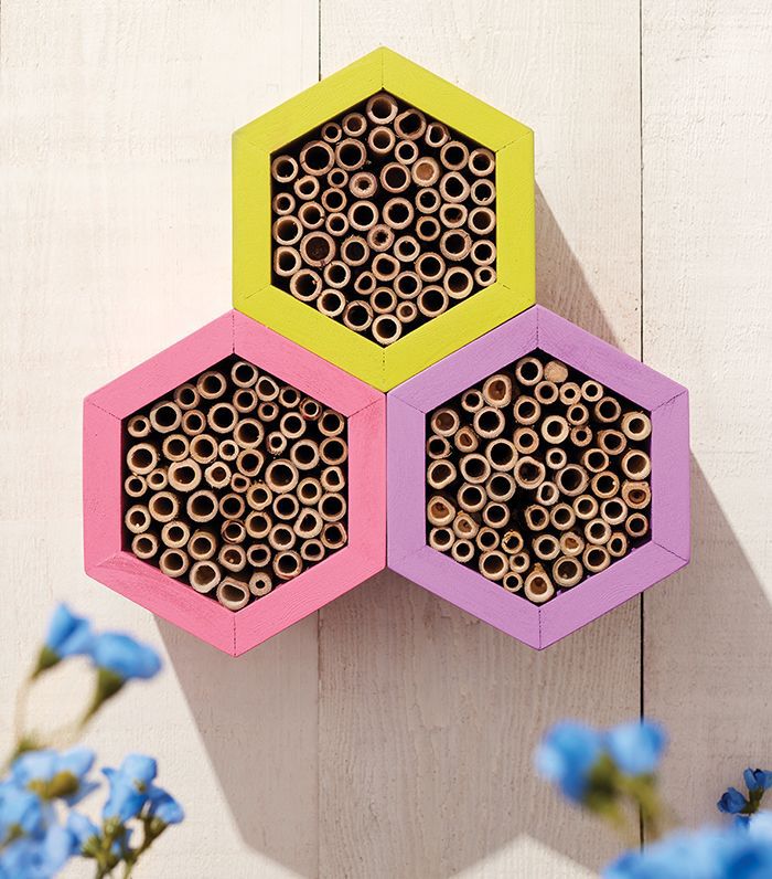Bekee Box Bee Box - Cottage Life