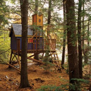 Tree House
