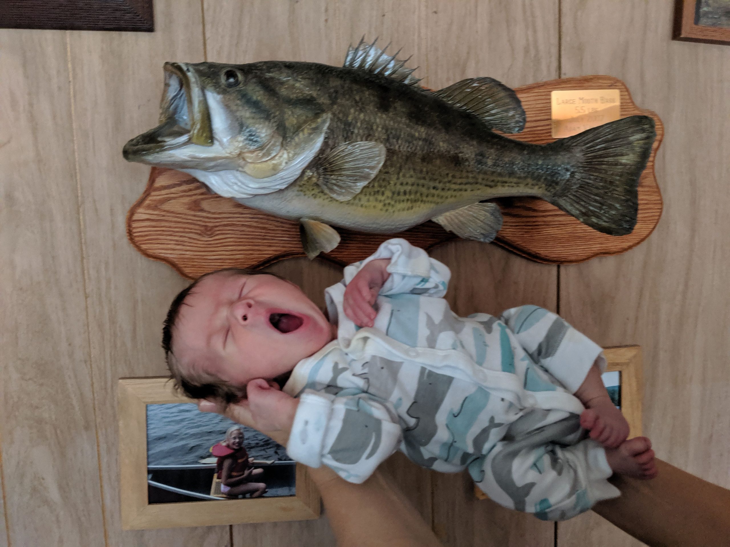 baby and a bass with open mouths