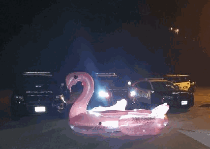 pink flamingo floatie