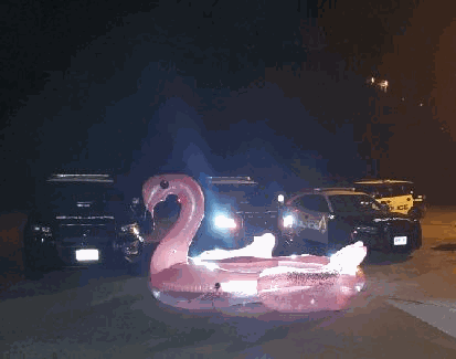 pink flamingo floatie