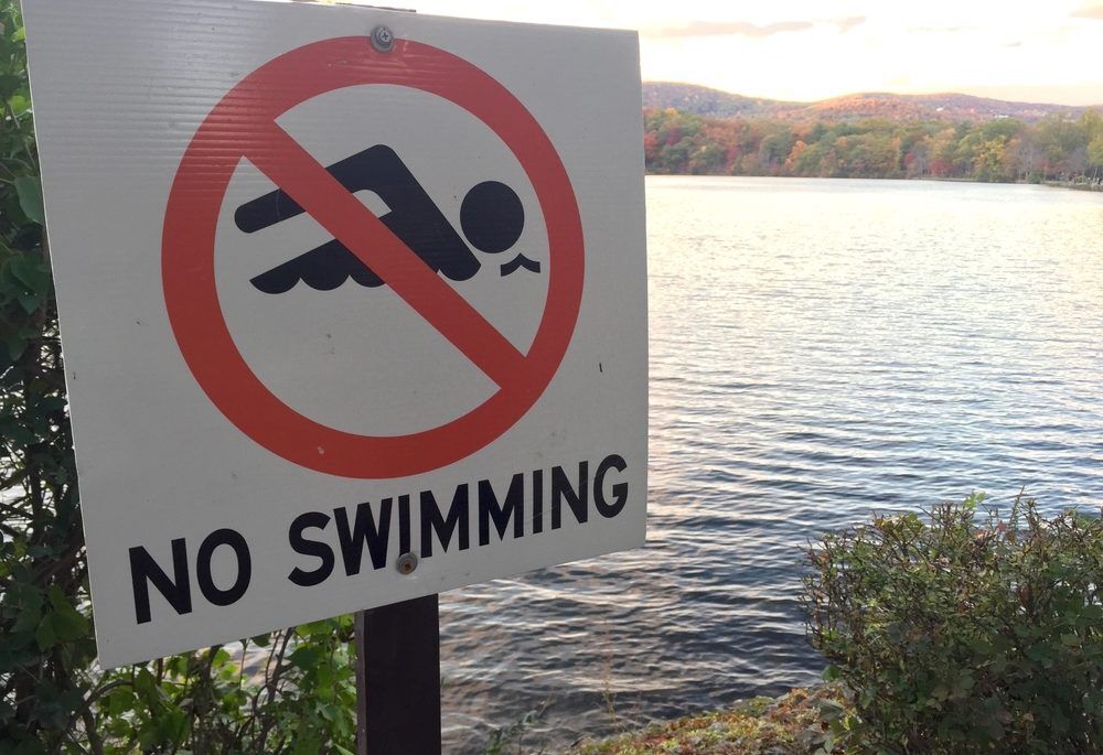 A "No Swimming" sign in front of a lake